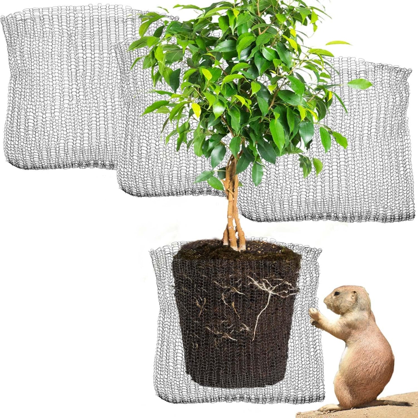 GIFTEXPRESS 15 Gallon Gopher and Vole Wire Speed Baskets, Plant Root Protector Gopher Baskets
