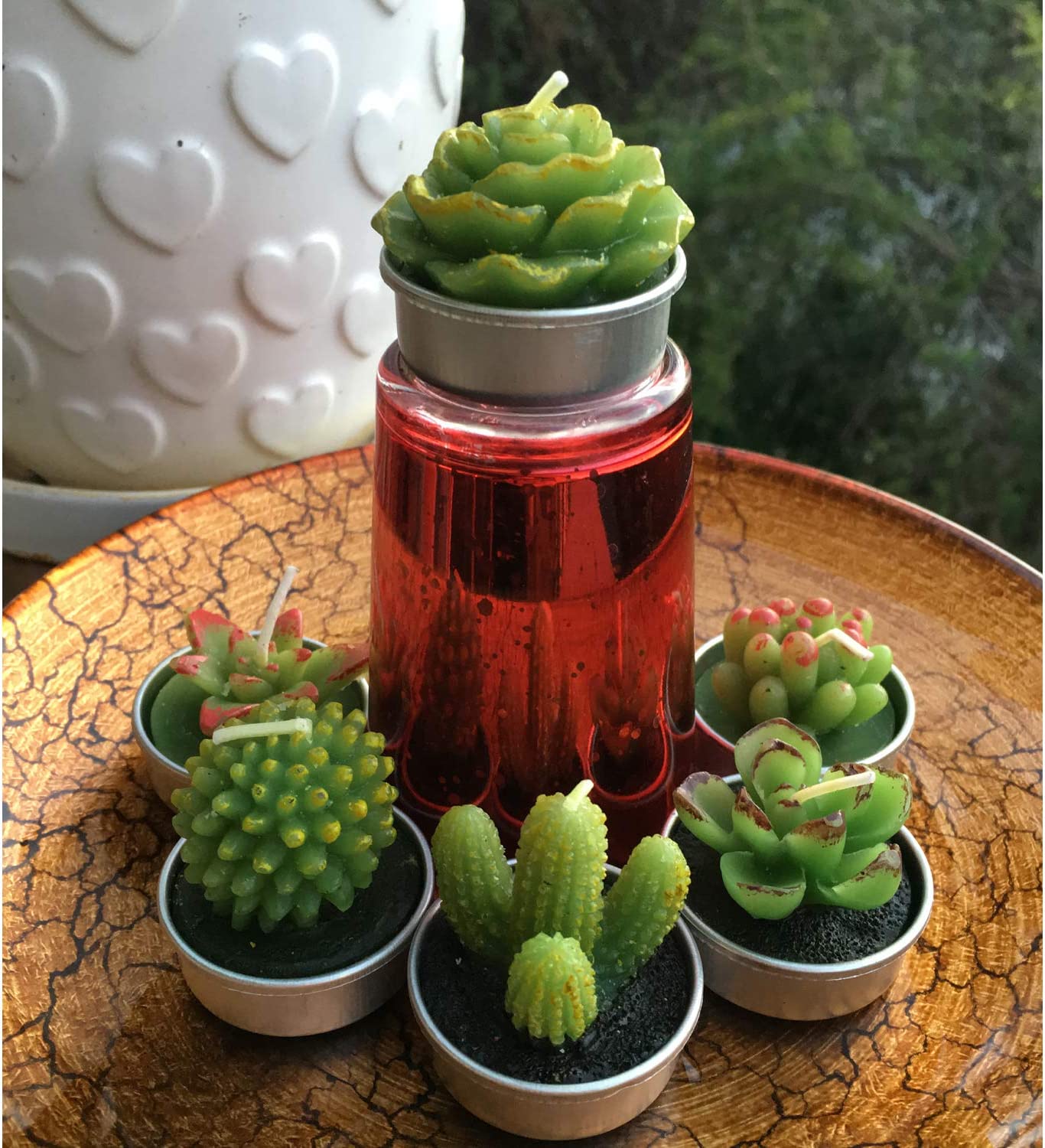 GIFTEXPRESS 6 velas de té de cactus suculentas