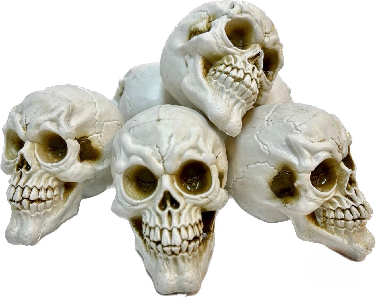 GIFTEXPRESS 6pcs Skulls Unhuman Skull Head, Realistic Skeleton Skulls for Halloween Table Décor