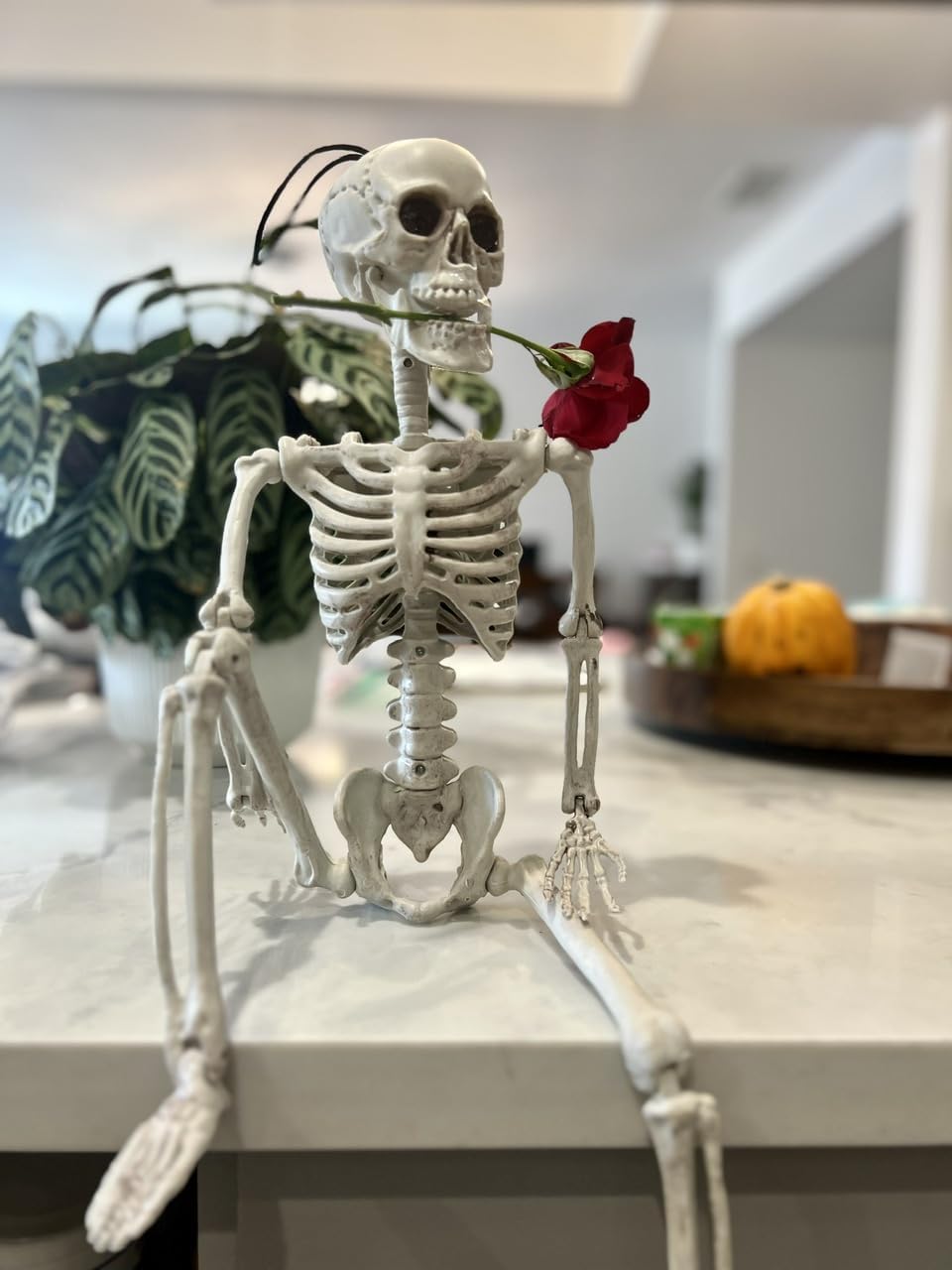 GIFTEXPRESS 24" Realistic Posable Full Human Body Skeleton with Movable Limbs Jaws, Reposable Head, Hands and Legs