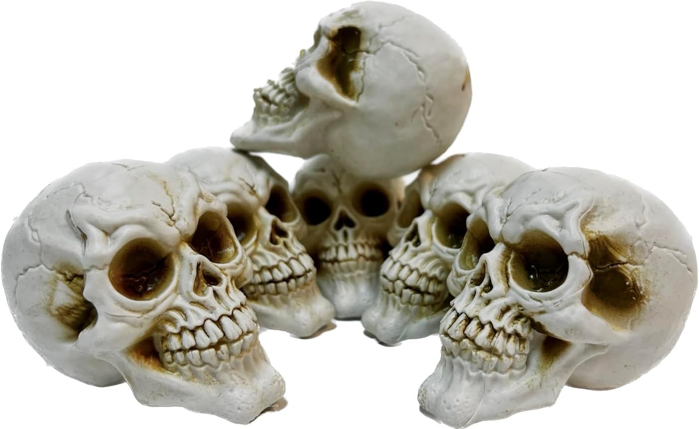 GIFTEXPRESS 6pcs Skulls Unhuman Skull Head, Realistic Skeleton Skulls for Halloween Table Décor