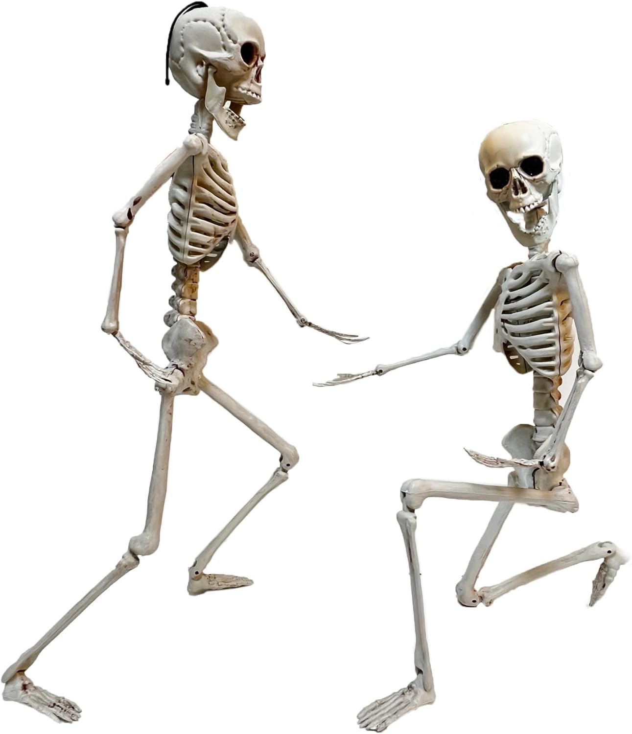 GIFTEXPRESS 24" Realistic Posable Full Human Body Skeleton with Movable Limbs Jaws, Reposable Head, Hands and Legs