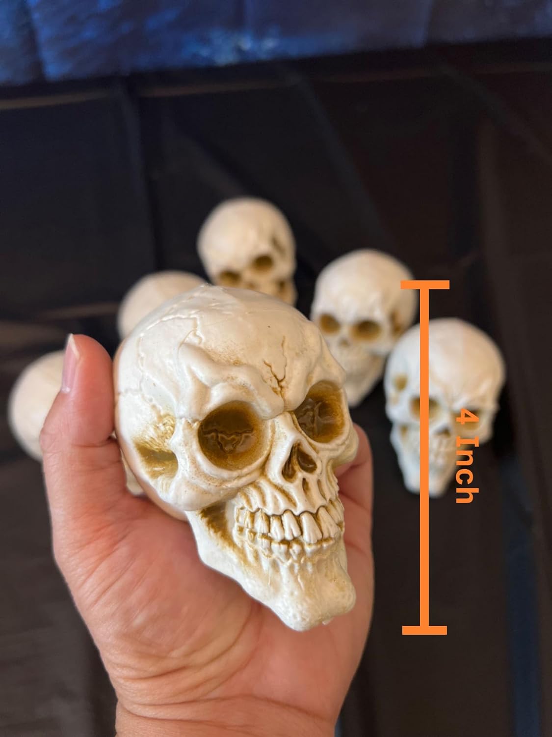 GIFTEXPRESS 6pcs Skulls Unhuman Skull Head, Realistic Skeleton Skulls for Halloween Table Décor