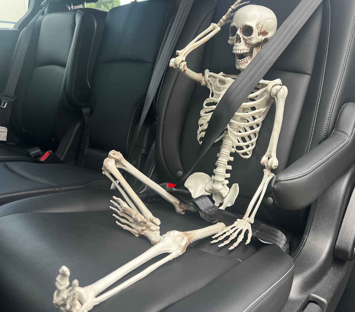 GIFTEXPRESS 36" Realistic Posable Full Human Body Skeleton with Movable Limbs Jaws, Reposable Head, Hands and Legs Halloween Skull and Skeleton Decoration and Haunted Spooky House Props