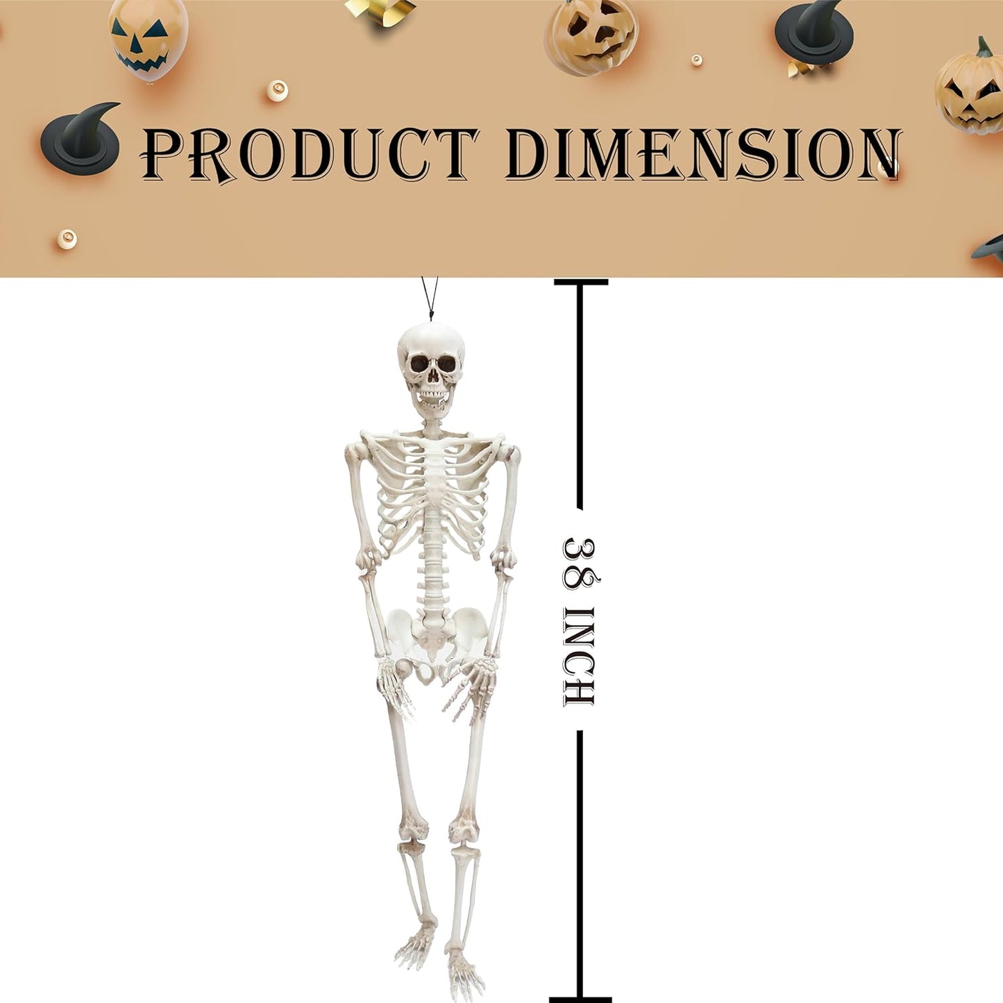 GIFTEXPRESS 36" Realistic Posable Full Human Body Skeleton with Movable Limbs Jaws, Reposable Head, Hands and Legs Halloween Skull and Skeleton Decoration and Haunted Spooky House Props
