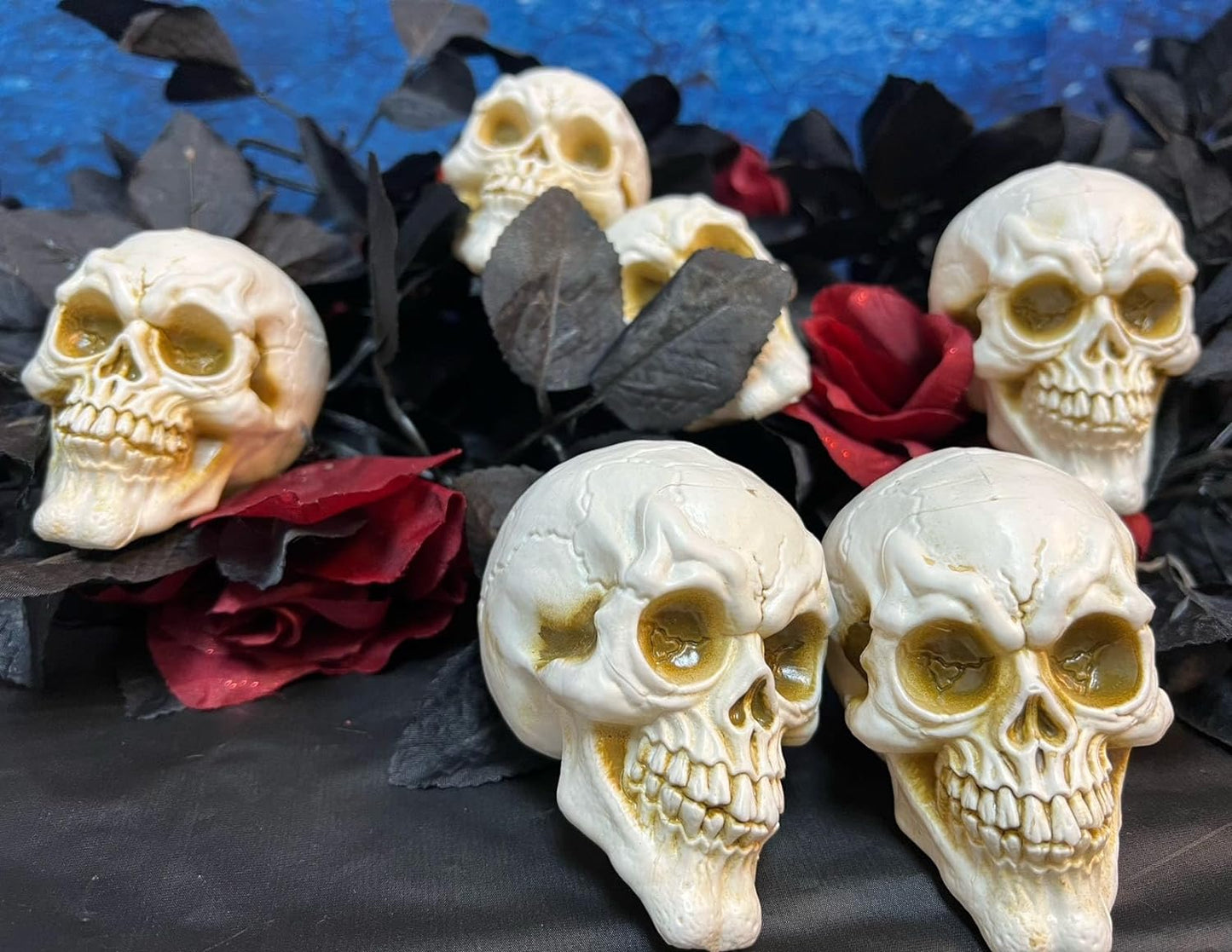 GIFTEXPRESS 6pcs Skulls Unhuman Skull Head, Realistic Skeleton Skulls for Halloween Table Décor