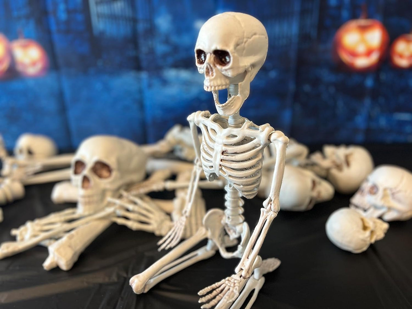GIFTEXPRESS 24" Realistic Posable Full Human Body Skeleton with Movable Limbs Jaws, Reposable Head, Hands and Legs