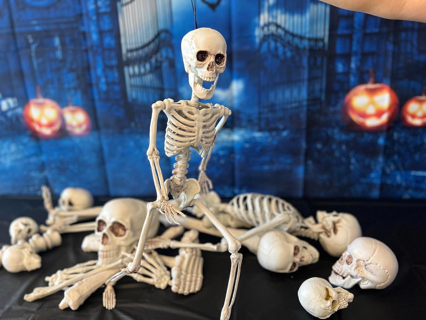 GIFTEXPRESS 24" Realistic Posable Full Human Body Skeleton with Movable Limbs Jaws, Reposable Head, Hands and Legs