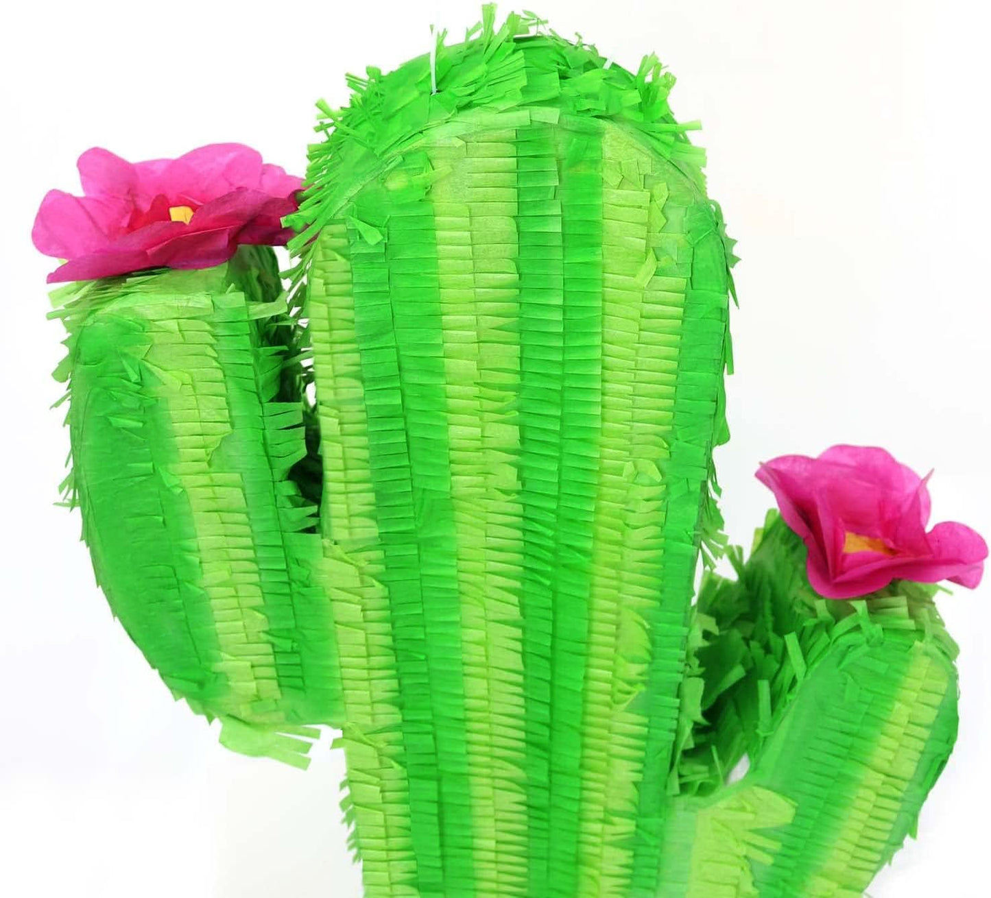 GIFTEXPRESS 17 Inch Cactus Pinata