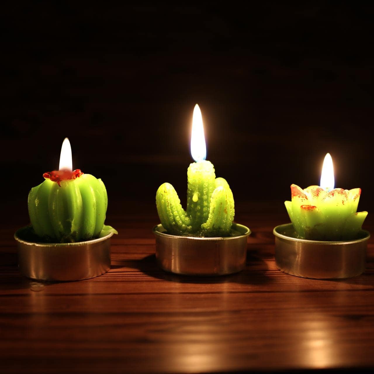 GIFTEXPRESS 6 velas de té de cactus suculentas