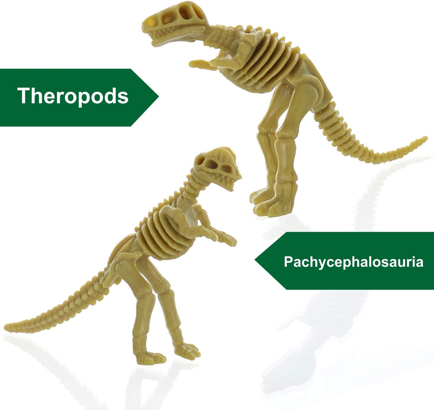 GIFTEXPRESS 24 piezas de esqueletos fósiles de dinosaurio, 3.7 pulgadas, figuras de huesos de dinosaurio surtidos