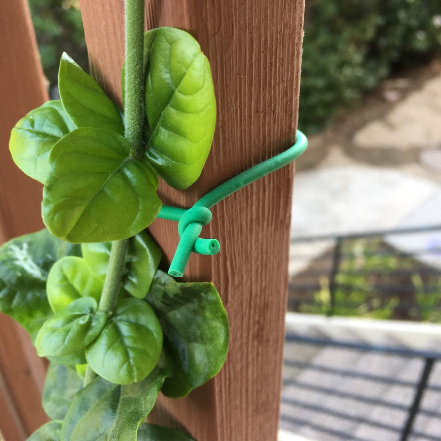 GIFTEXPRESS Garden Soft Wire Tie (10 Meters x 0.1"T)