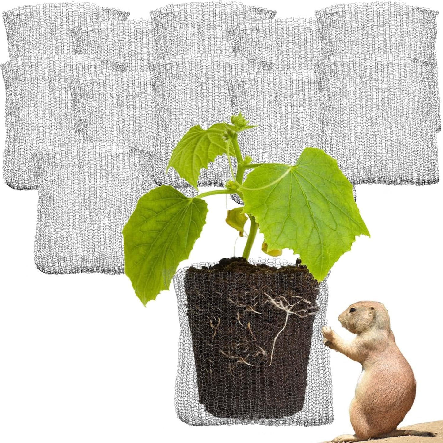 GIFTEXPRESS 1 Gallon Gopher and Vole Wire Speed Baskets, Plant Root Protector Gopher Baskets