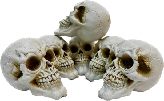 GIFTEXPRESS 6pcs Skulls Unhuman Skull Head, Realistic Skeleton Skulls for Halloween Table Décor