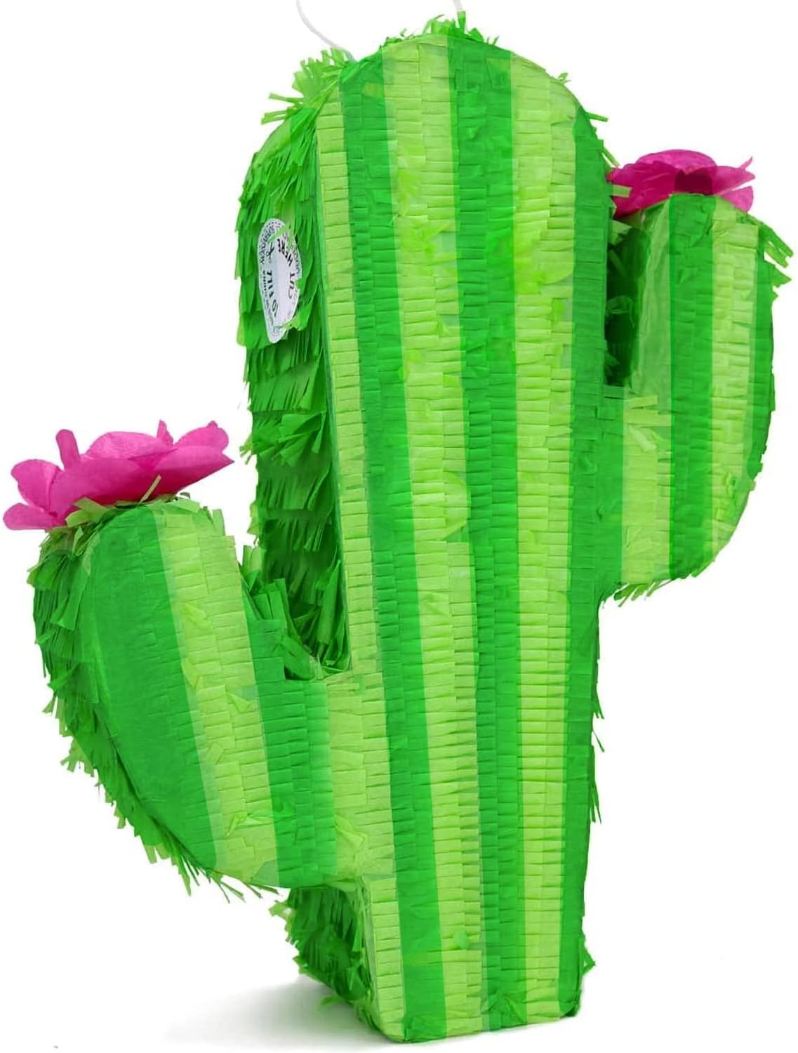 GIFTEXPRESS Piñata de cactus de 17 pulgadas 