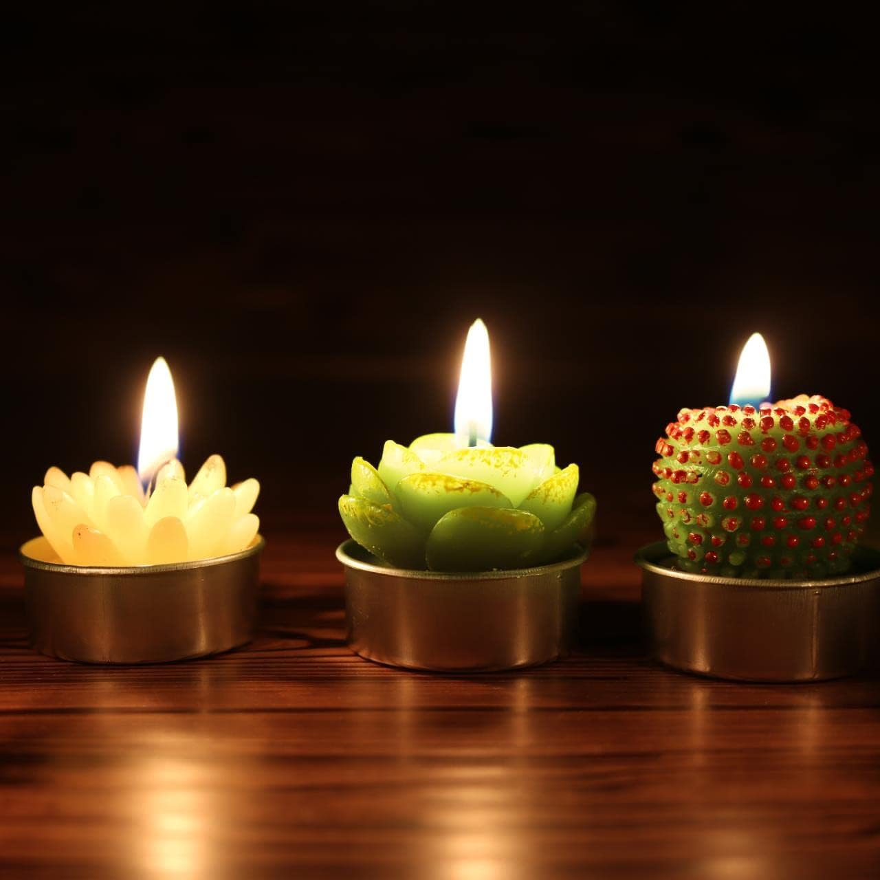 GIFTEXPRESS 6pcs Succulent Cactus Tealight Candles