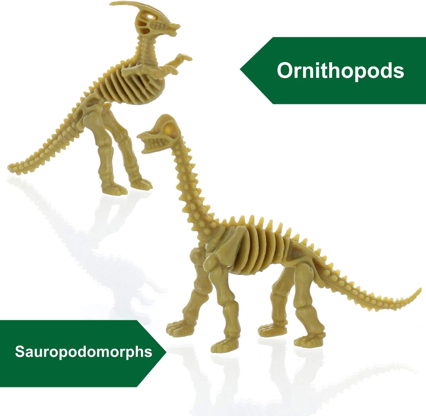 GIFTEXPRESS 24 piezas de esqueletos fósiles de dinosaurio, 3.7 pulgadas, figuras de huesos de dinosaurio surtidos 