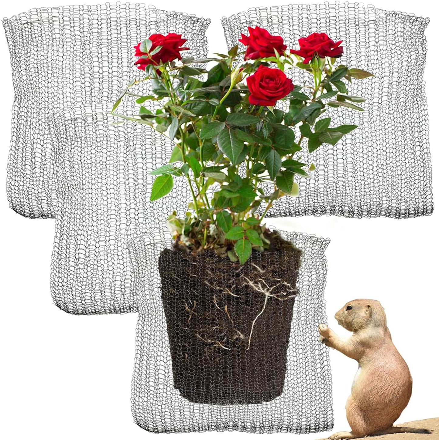 GIFTEXPRESS 5 Gallon Gopher and Vole Wire Baskets